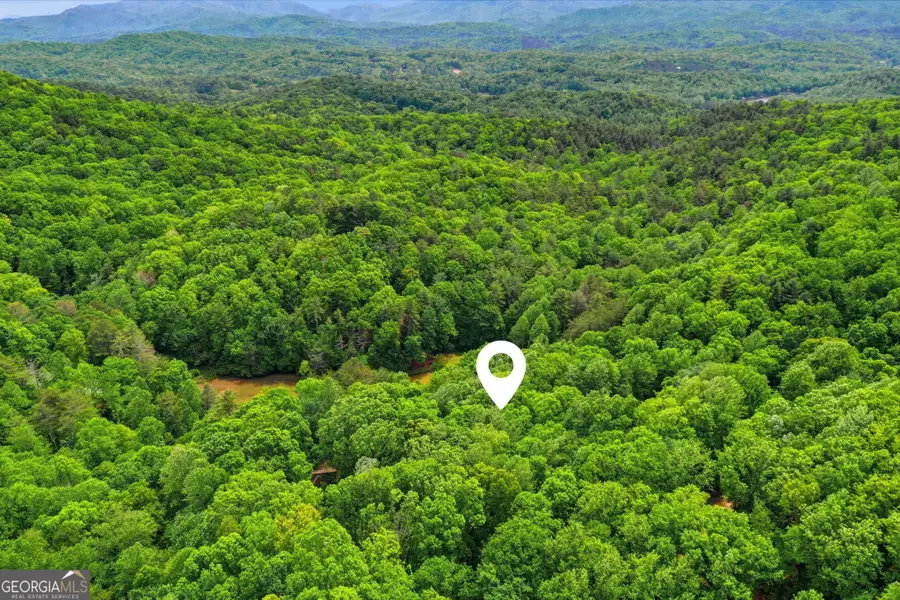1564 Big Ben Road, Ellijay, GA 30540 - #3