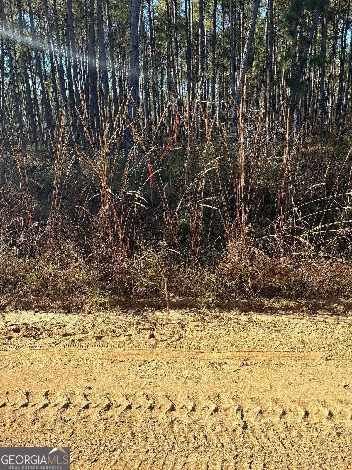 2457 Guy Weatherly Road, Cadwell, GA 31009 - #1