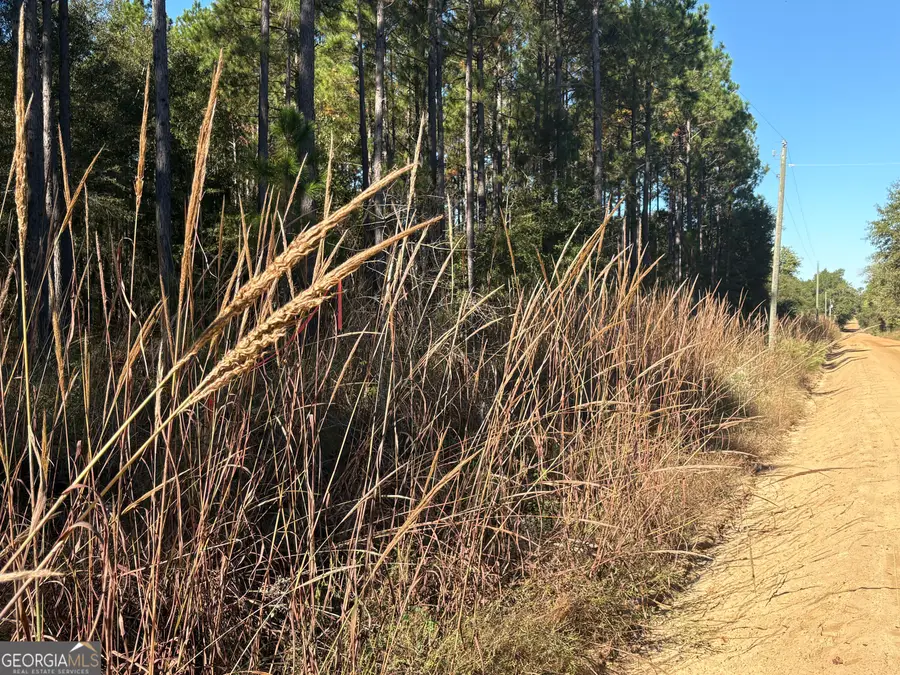 2457 Guy Weatherly Road, Cadwell, GA 31009 - #2