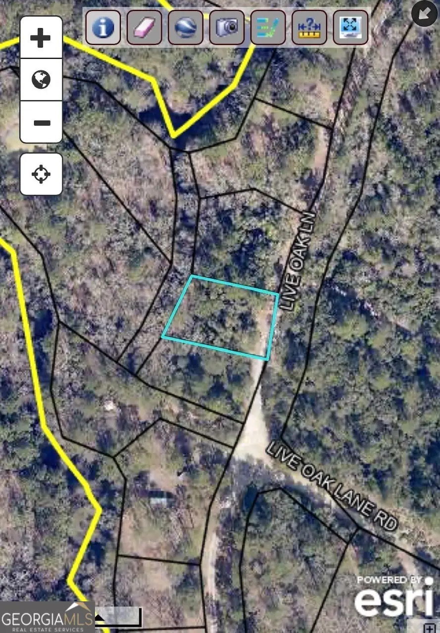 0 Live Oak Lane Road, Nevils, GA 31321 - #3