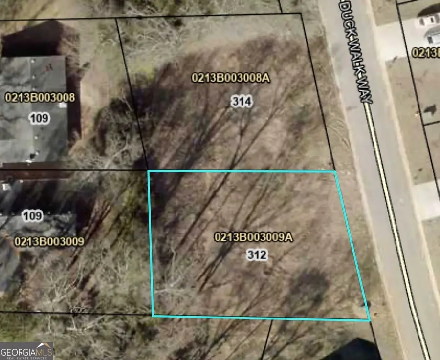 312 Duck Walk Way, Hogansville, GA 30230 - #2