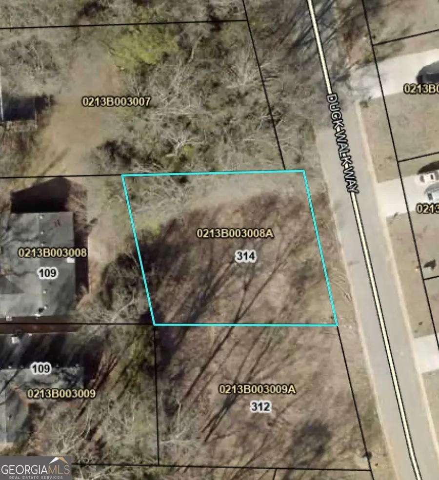 314 Duck Walk Way, Hogansville, GA 30230 - #2