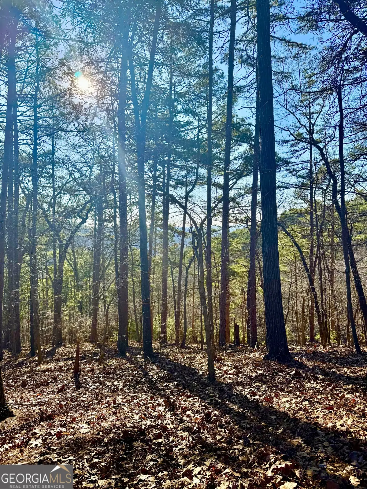 335 Packet Court, Ranger, GA 30734 - #1