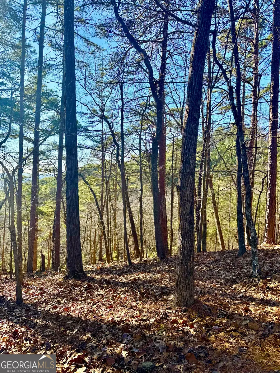 335 Packet Court, Ranger, GA 30734 - #2