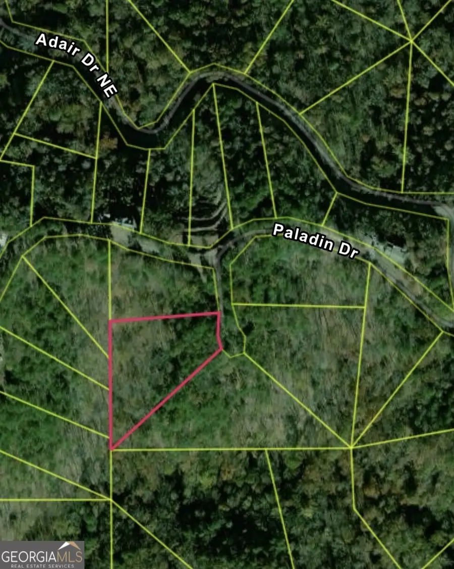 335 Packet Court, Ranger, GA 30734 - #3