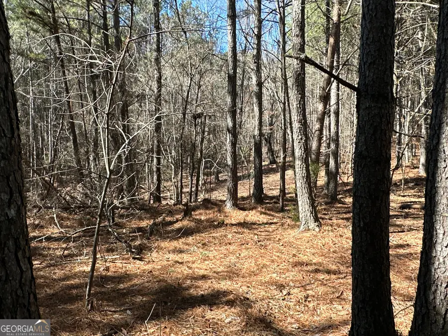 3472 Prior Station Road, Cedartown, GA 30125 - #3