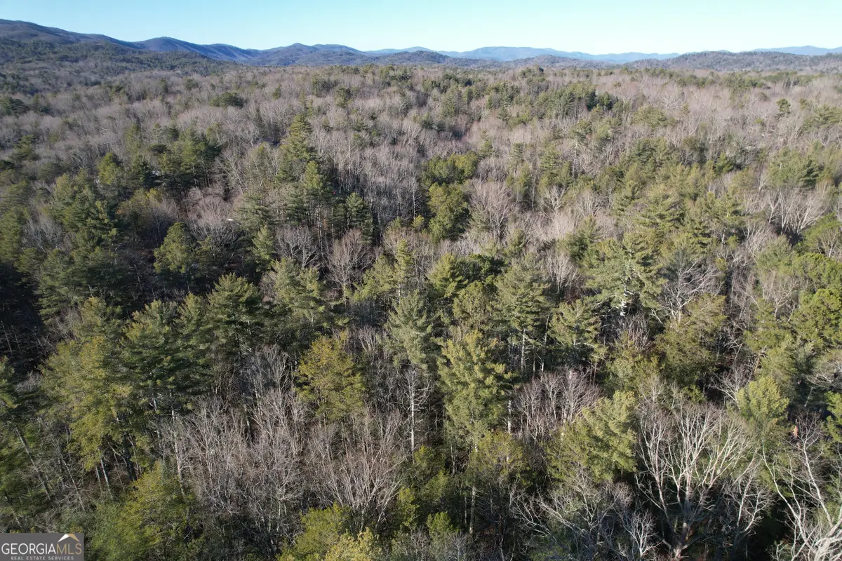 01 Old Miller Rock, Ellijay, GA 30540 - #1