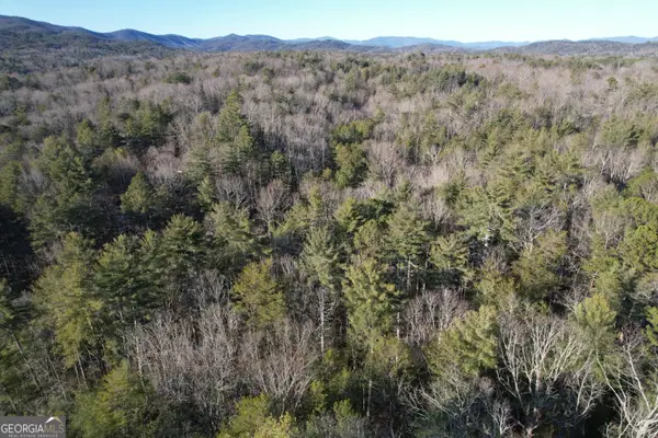 01 Old Miller Rock, Ellijay, GA 30540