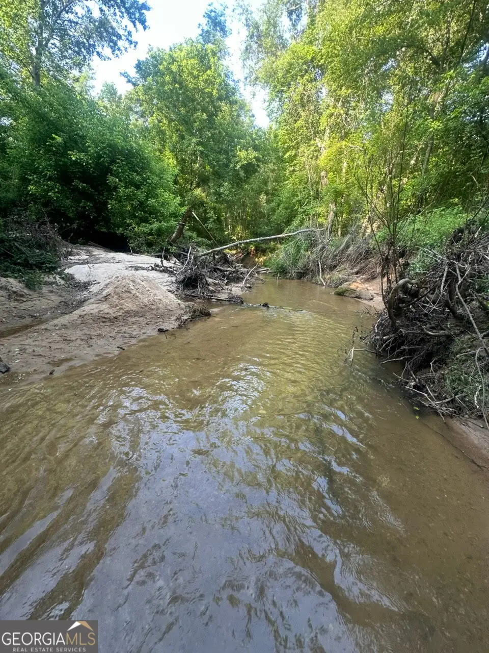 2607 Hughes Road, Bowman, GA 30624 - #1