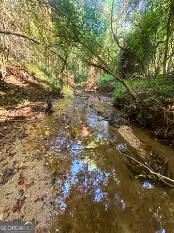 2607 Hughes Road, Bowman, GA 30624 - #2