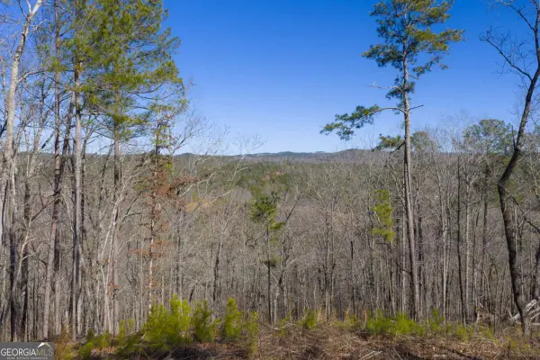 LOT 285 Anglers Ridge Road, Talking Rock, GA 30175
