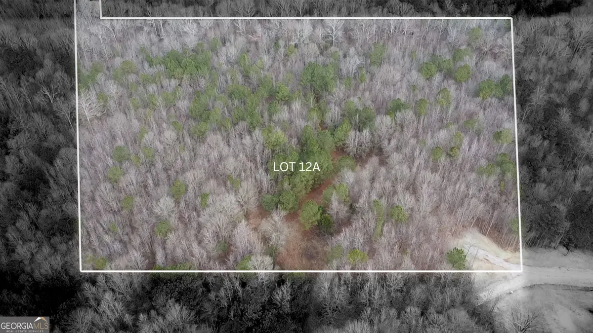148 Berry Road #LOT 12A, Barnesville, GA 30204 - #1
