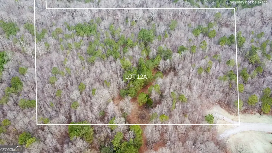 148 Berry Road #LOT 12A, Barnesville, GA 30204 - #2