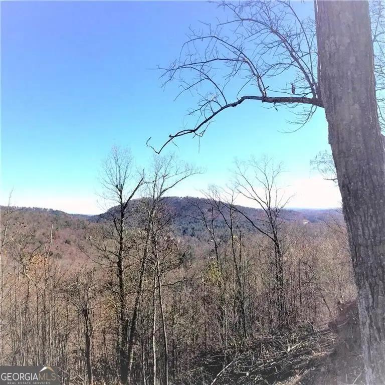 8104 Wilderness Parkway, Jasper, GA 30143 - #1