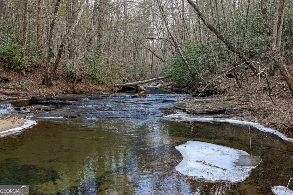 TBD Trout Farm Road, Talking Rock, GA 30175