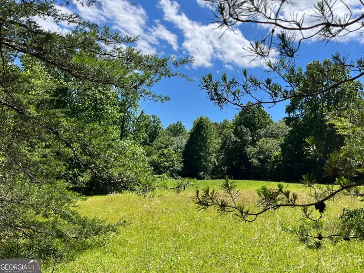 LOT 46 A Licklog Ridge, Hayesville, NC 28904 - #1