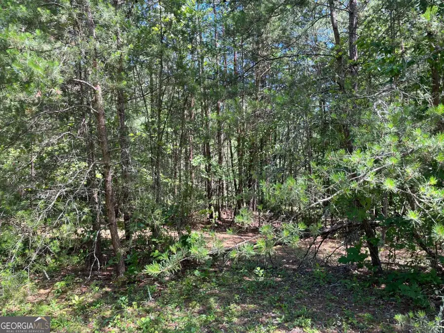 LOT 46 A Licklog Ridge, Hayesville, NC 28904 - #3