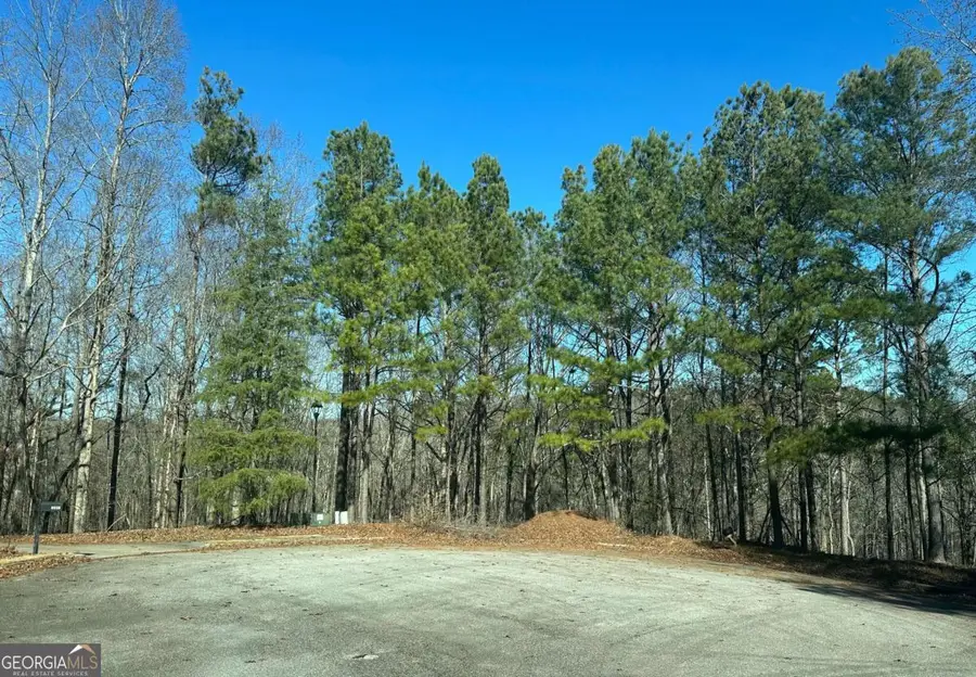 9590 Grande Drive, Winston, GA 30187 - #2