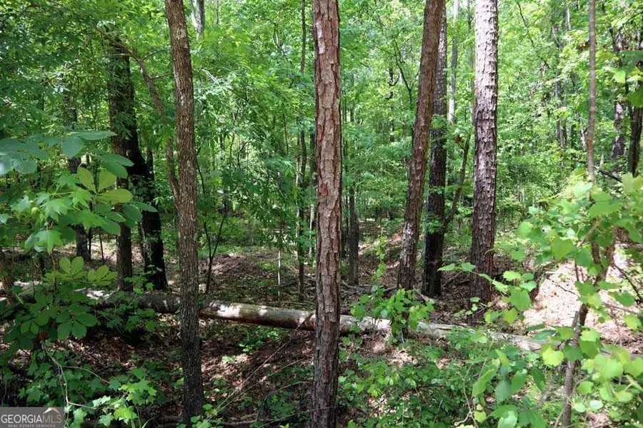 77 Cherokee Road Sw, Devereux, GA 31061 - #3