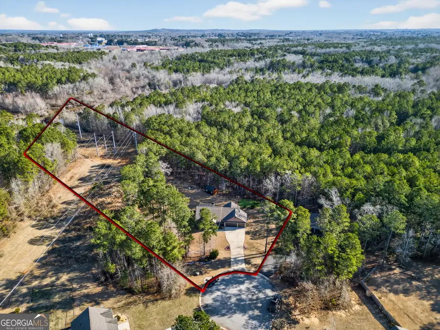 255 Needleleaf Drive, Barnesville, GA 30204 - #3