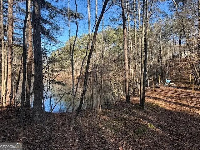 609 Old Mccoy Place, Waleska, GA 30183 - #2