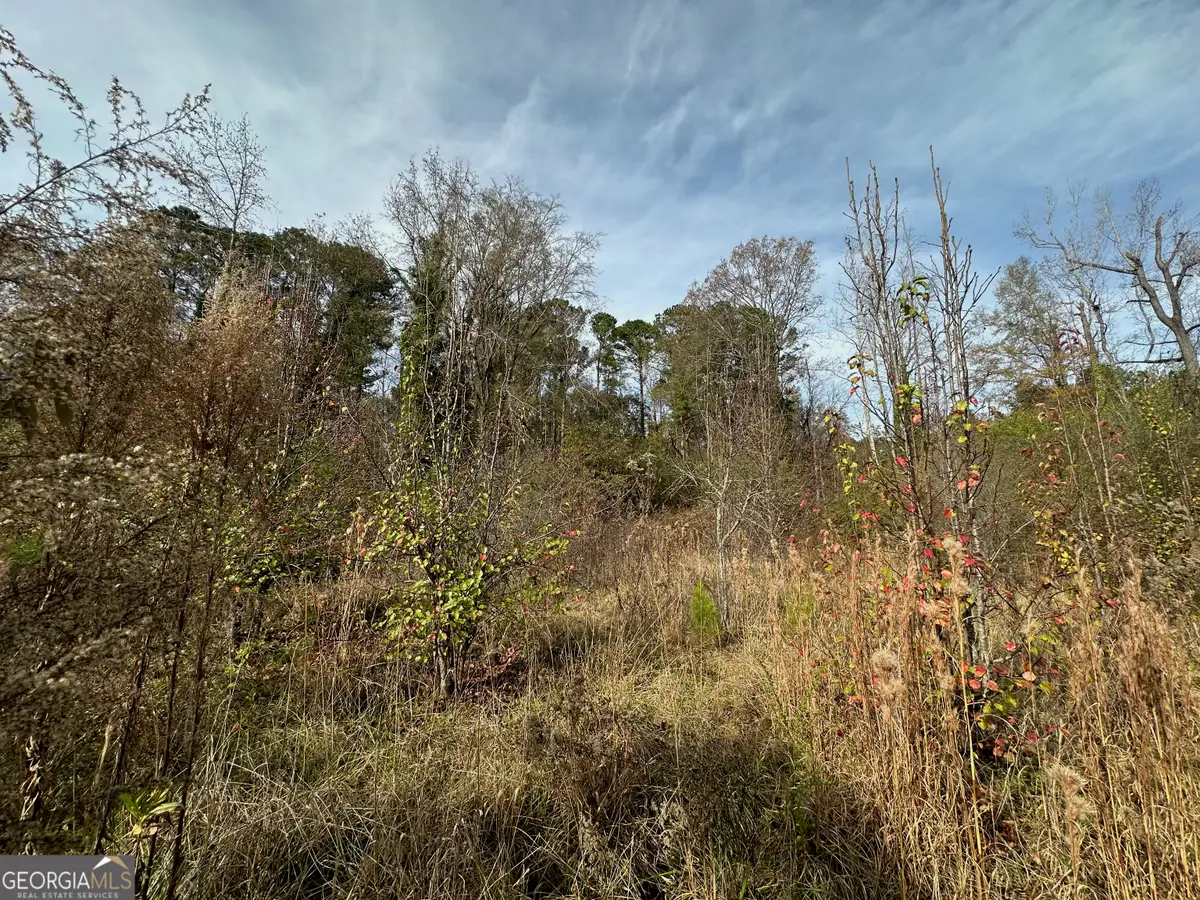 567 George W Towns Road, Talbotton, GA 31827 - #1