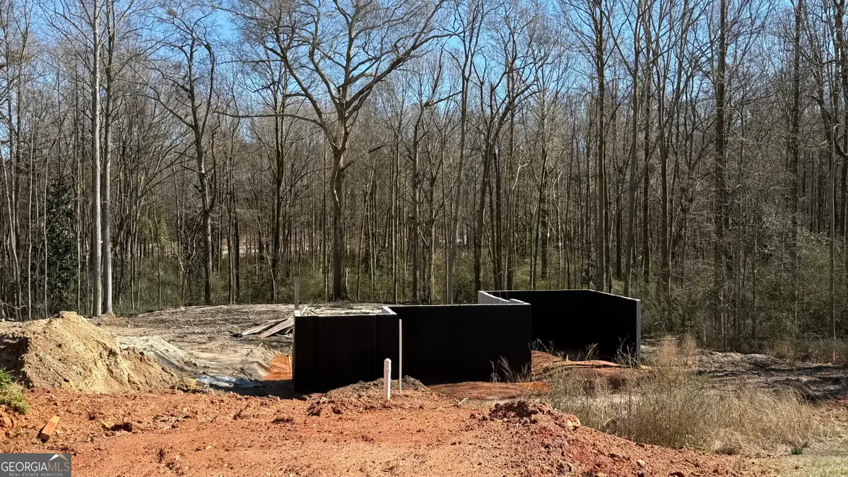 267 Adams Place Drive, Royston, GA 30662 - #1