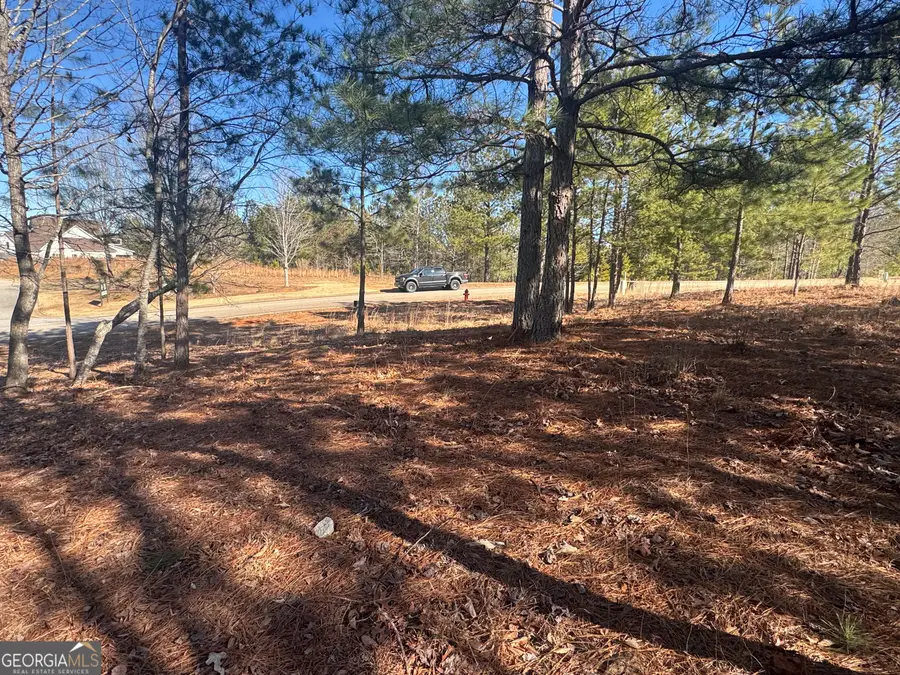 1541 Currahee Club Drive, Toccoa, GA 30577 - #3