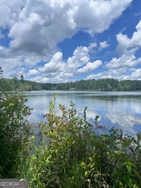 0 W Highway 34, Newnan, GA 30263 - #3