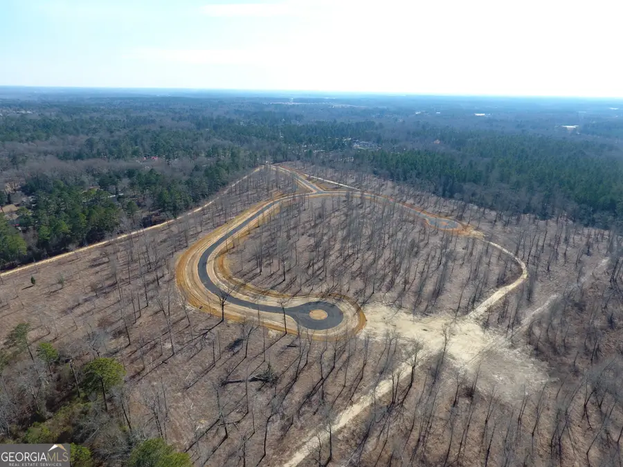 0 Holly Ridge Road, Dublin, GA 31021 - #3