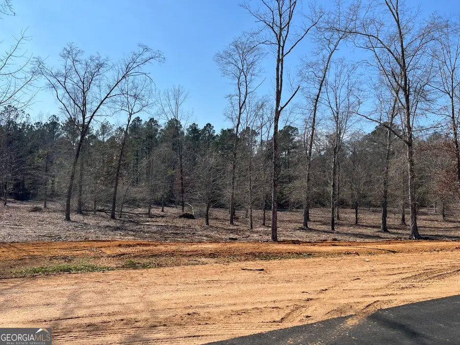 0 Holly Ridge Lot 3, Dublin, GA 31021 - #2