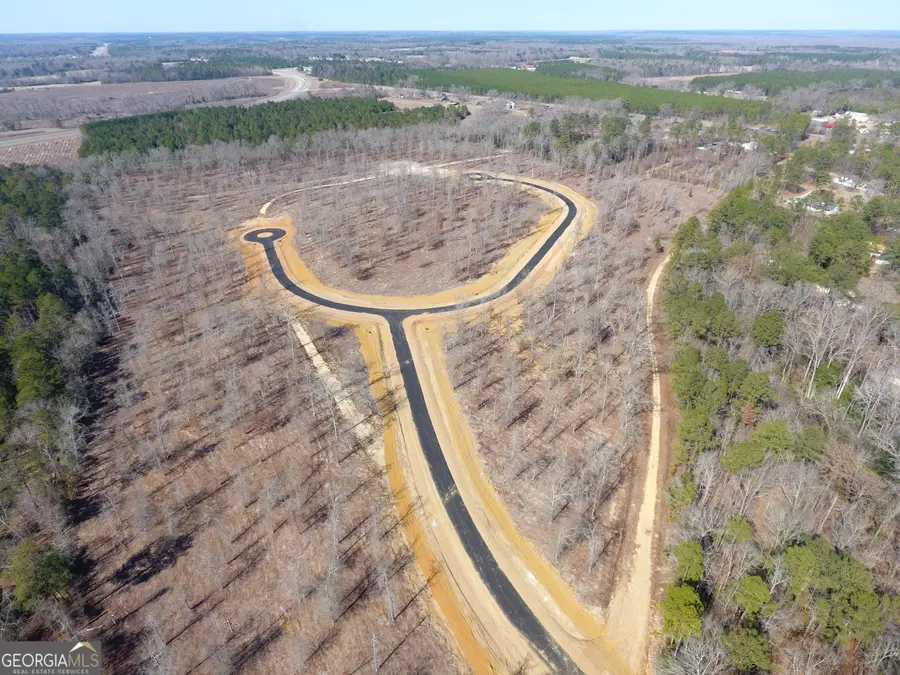 0 Holly Ridge Lot 3, Dublin, GA 31021 - #3
