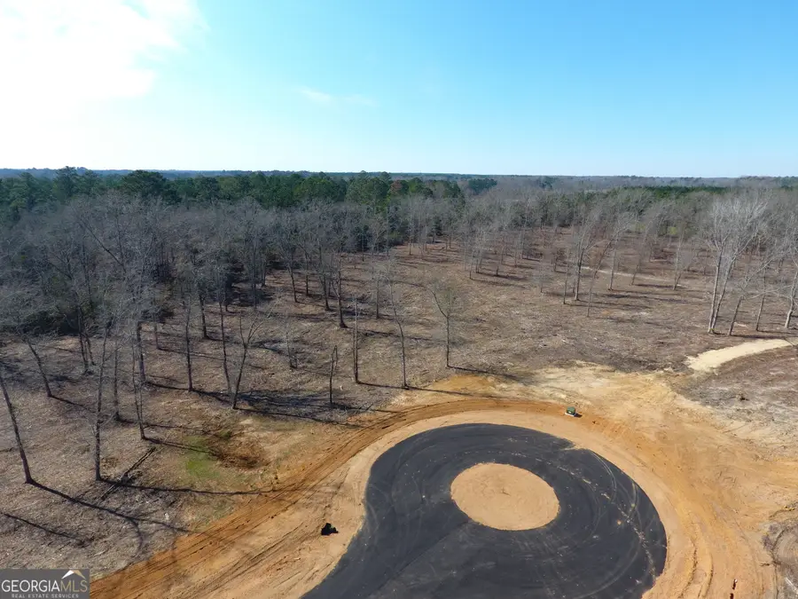 0 Holly Ridge Lot 4, Dublin, GA 31021 - #2