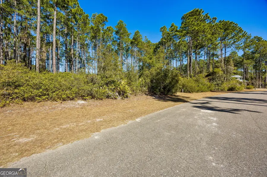 106 Wild Horse Court, Saint Marys, GA 31558 - #3