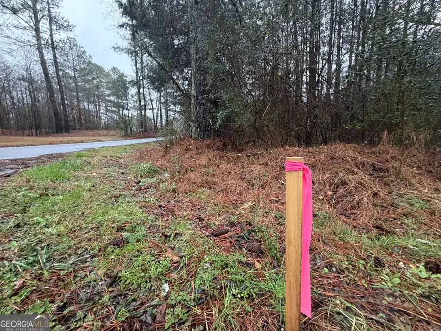 0 Dry Creek/edwards Road, Cedartown, GA 30125 - #2