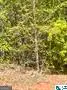 LOT 18 13TH COU 13th Court, Lanett, AL 36863 - #2