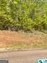 LOT 19 13TH COU 13th Court, Lanett, AL 36863 - #1