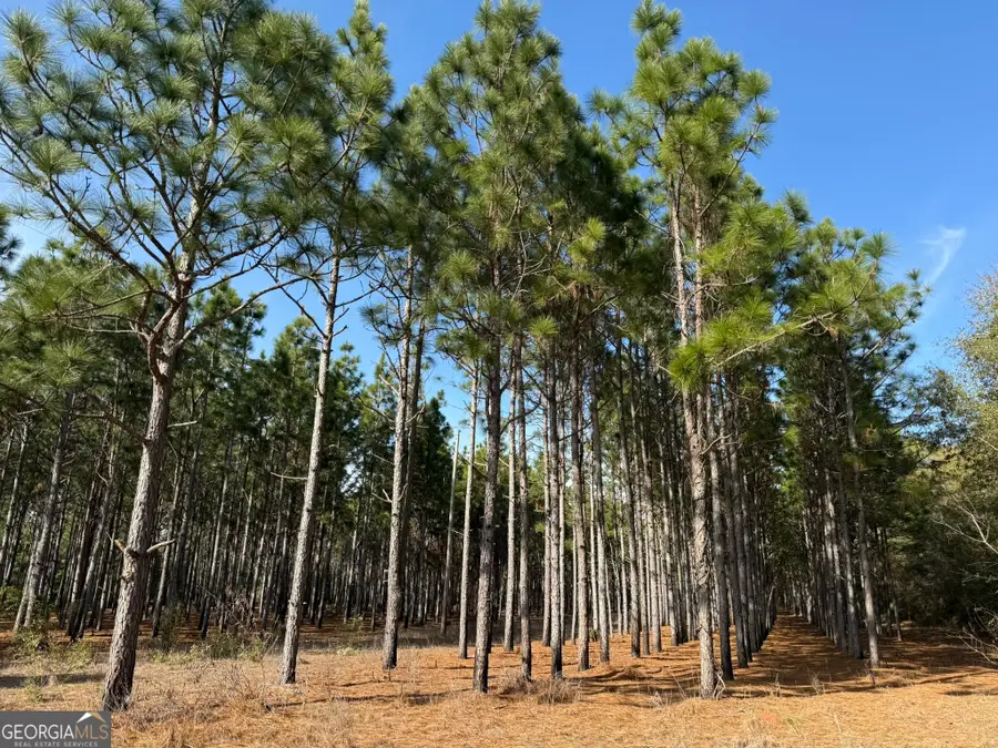 014 Hwy 45, Plains, GA 31780 - #2