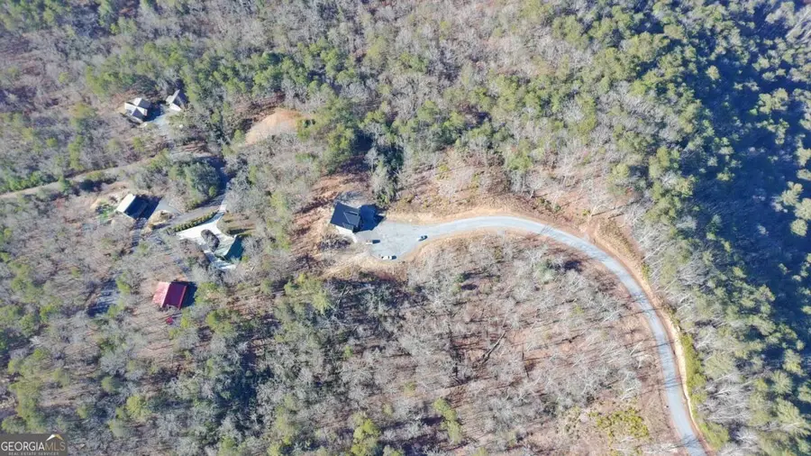 LOT 53 Mountain Laurel Ridge, Mineral Bluff, GA 30559 - #2