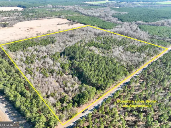 0 Shady Grove Road, Abbeville, GA 31001