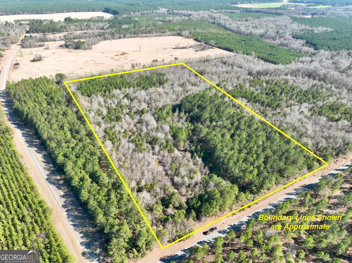 NORTH TRACT 0 Shady Grove Road, Abbeville, GA 31001 - #1