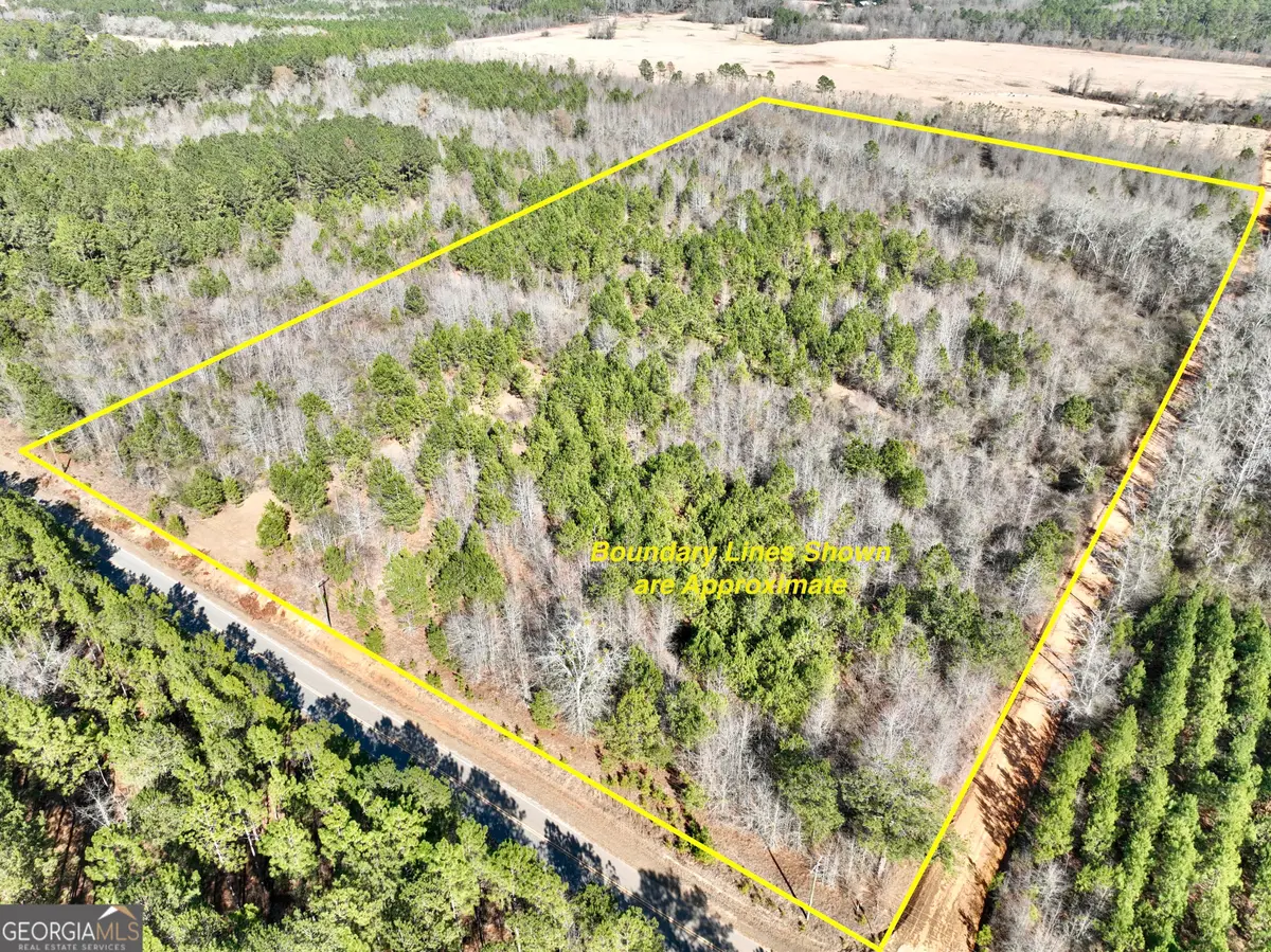 SOUTH TRACT 0 Shady Grove Road, Abbeville, GA 31001 - #1