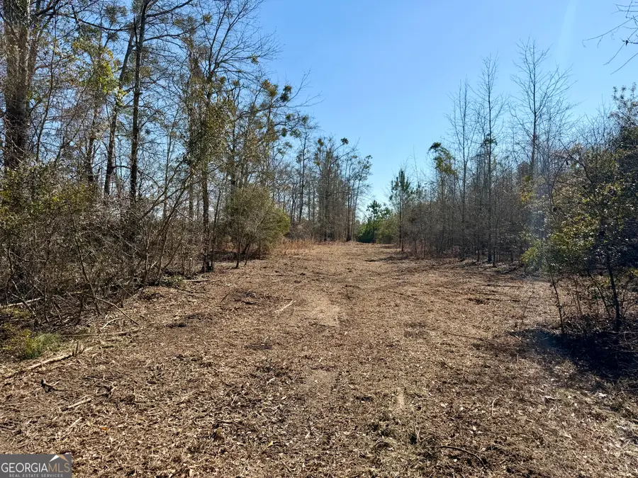 SOUTH TRACT 0 Shady Grove Road, Abbeville, GA 31001 - #2