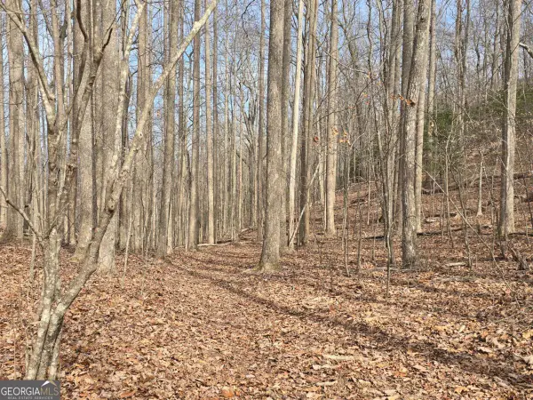 13.75 AC Caesar Gap Road, Hiawassee, GA 30546