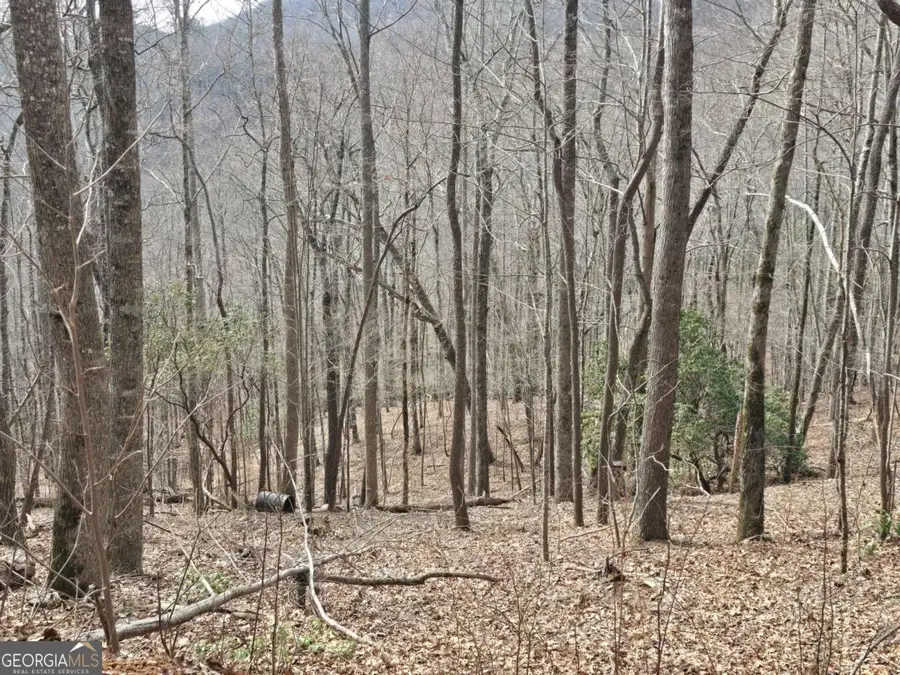 13.75 AC Caesar Gap Road, Hiawassee, GA 30546 - #2