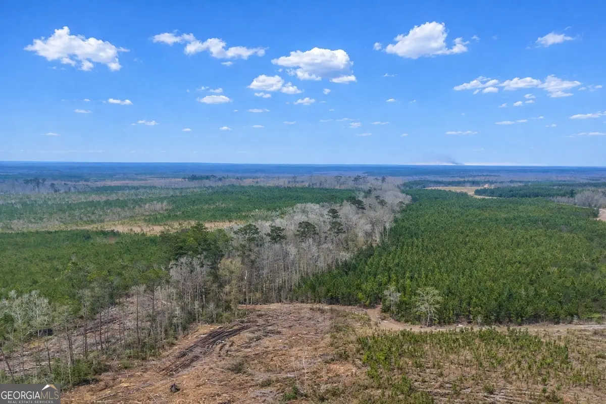 0 Highway 121, Glennville, GA 30427 - #1