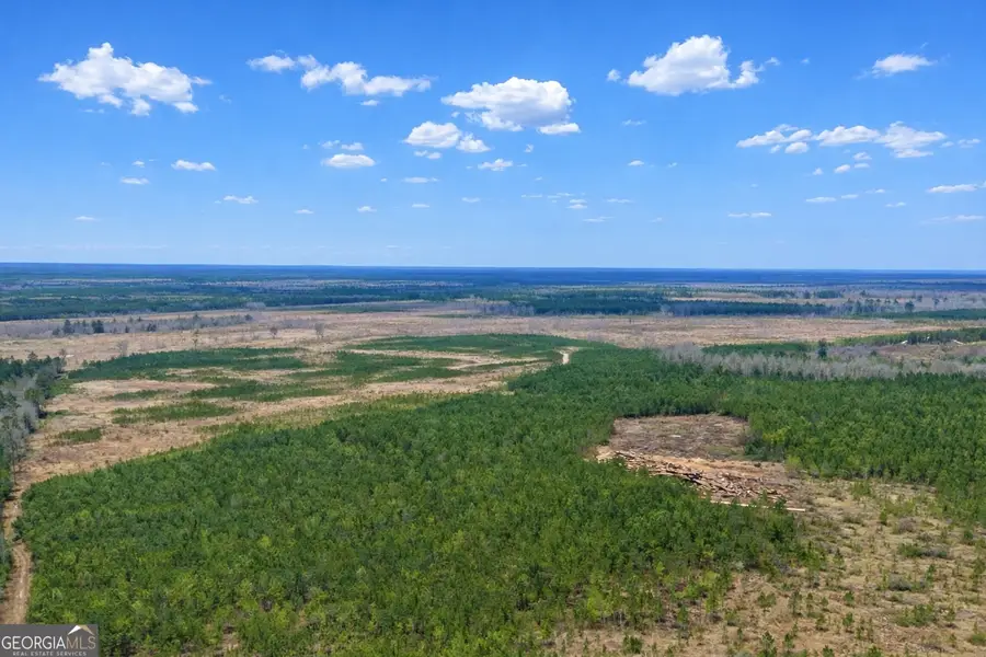 0 Highway 121, Glennville, GA 30427 - #2