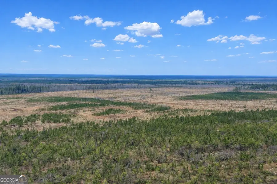 0 Highway 121, Glennville, GA 30427 - #3