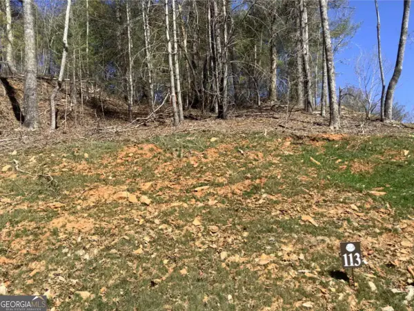 LOT113 High River Crossing, Ellijay, GA 30540
