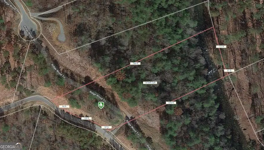 LOT113 High River Crossing, Ellijay, GA 30540 - #2